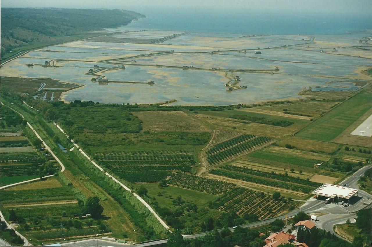 Apartmaji In Vinogradnistvo Klobas Leilighet Sečovlje Eksteriør bilde